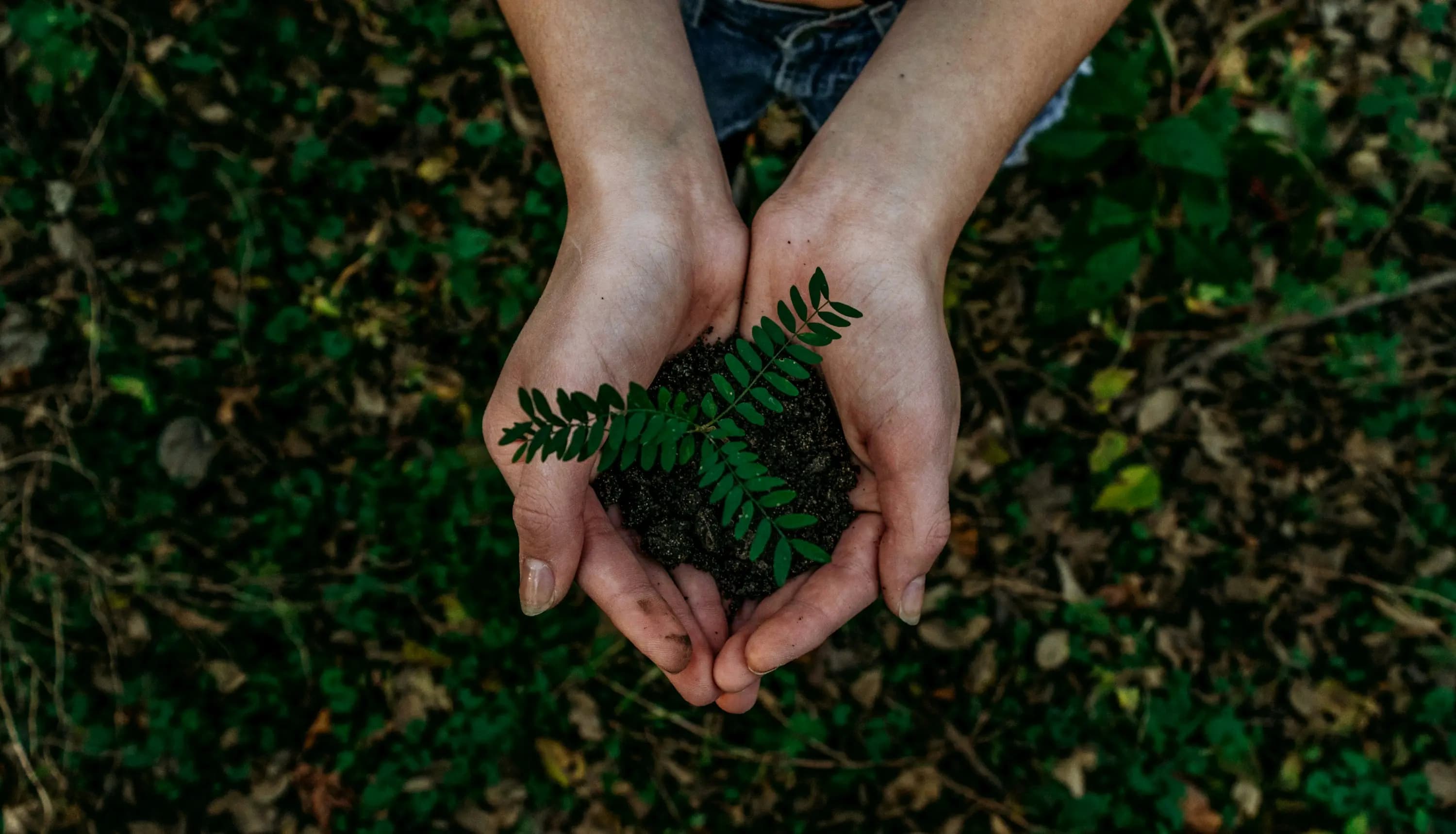 Sustainable Legacy
